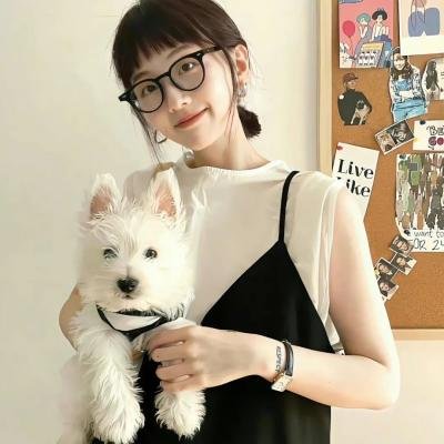 白鲸奇遇记